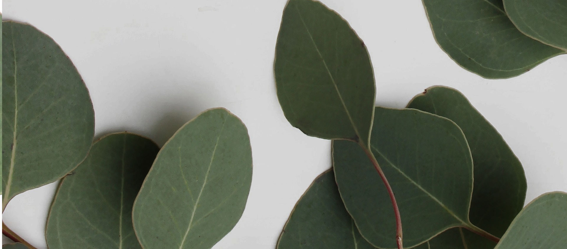 Взыскание ущерба от экологических правонарушений в Большом Истоке