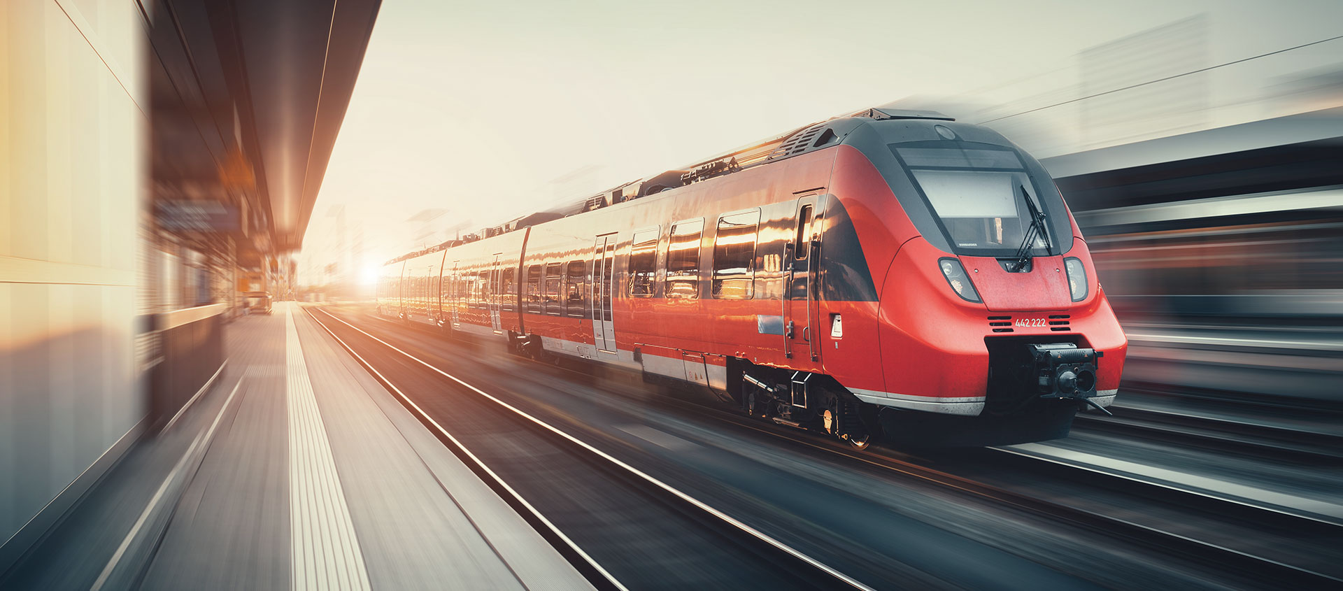 Услуги таможенного юриста в Большом Истоке